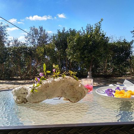 Caza Levantiera Kalamitsi  Bagian luar foto
