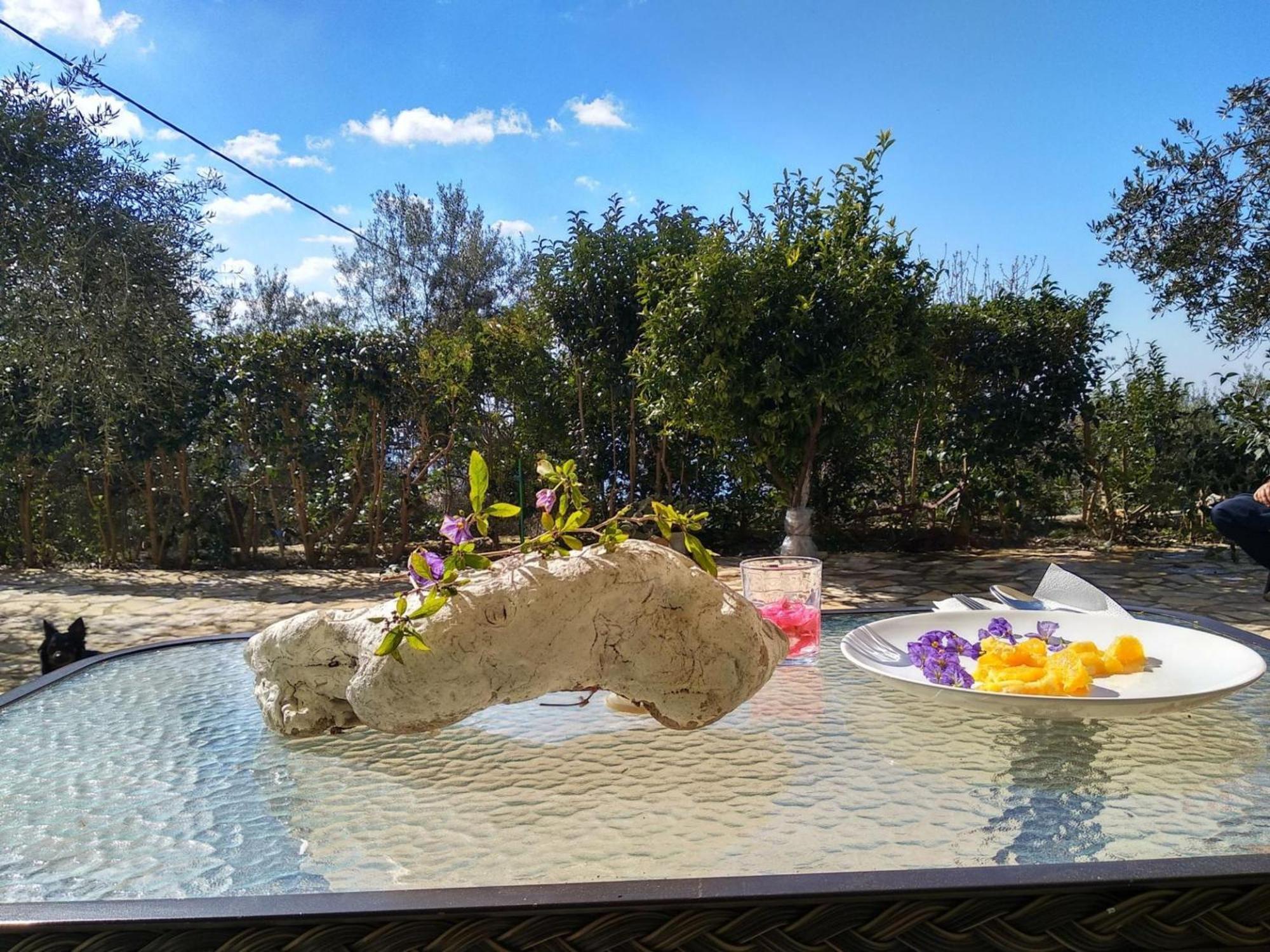 Caza Levantiera Kalamitsi  Bagian luar foto